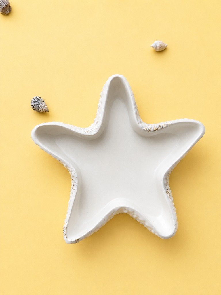 Estrella de mar de yeso para pintar